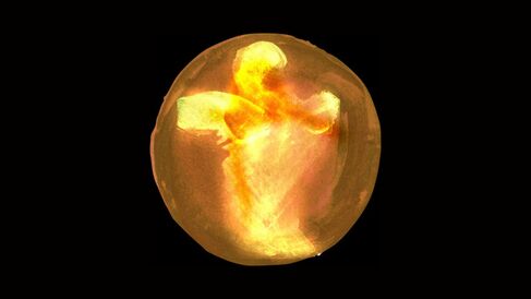 Gareth Polmeer, Figure/Form (Series), 2025