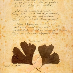 Goethe, Ginkgo Biloba (1815)
