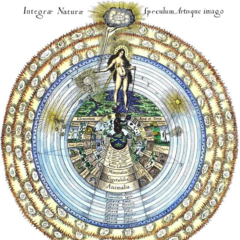 Robert Fludd, Anima Mundi (1617)