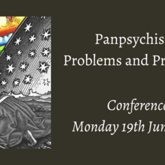 Workshop | Panpsychism: Problems and Prospects | 19th June 2023