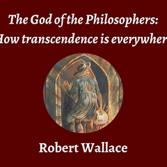Talk | Robert Wallace, 'The God of the Philosophers: How transcendence is everywhere'
