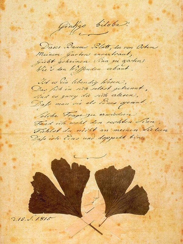 Goethe, Ginkgo Biloba (1815)