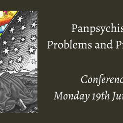Workshop | Panpsychism: Problems and Prospects | 19th June 2023